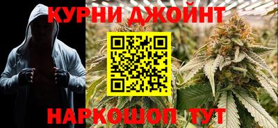 сатива Кунгур