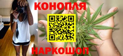 сатива Кунгур