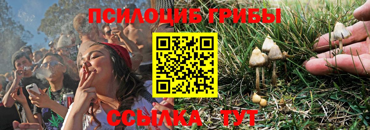 Галлюциногенные грибы мухоморы Златоуст