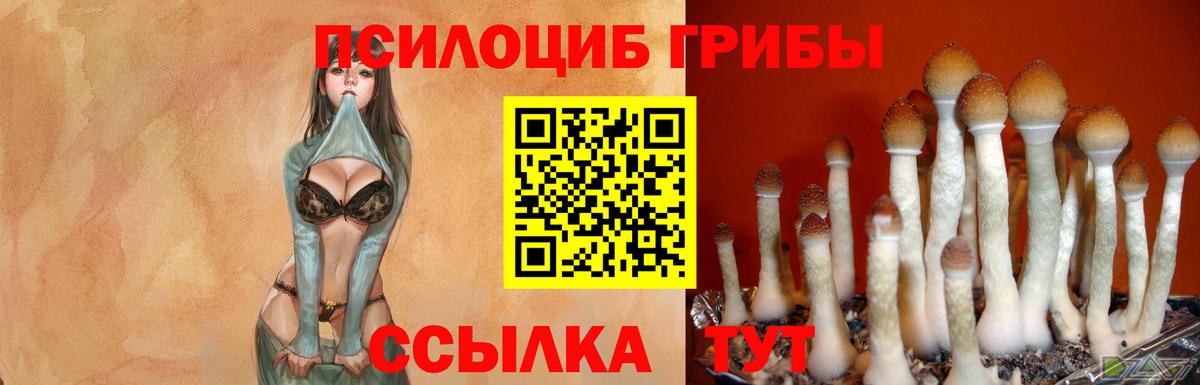 Галлюциногенные грибы ЛСД  хочу   Златоуст  Псилоцибиновые грибы мицелий  Вход с VPN 